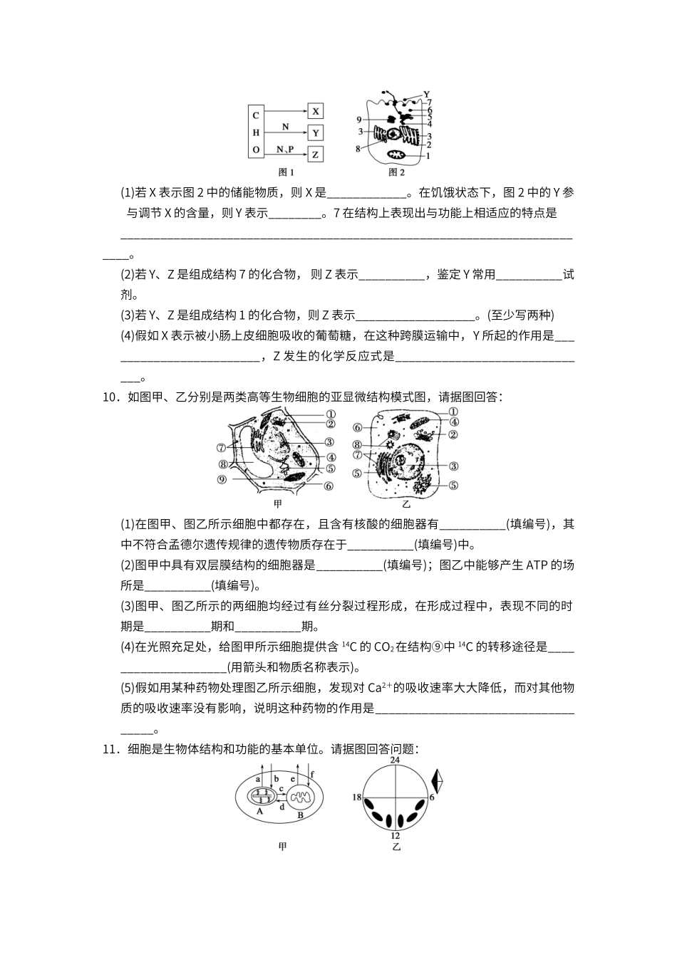 第三章--细胞基本结构单元测试题_第3页