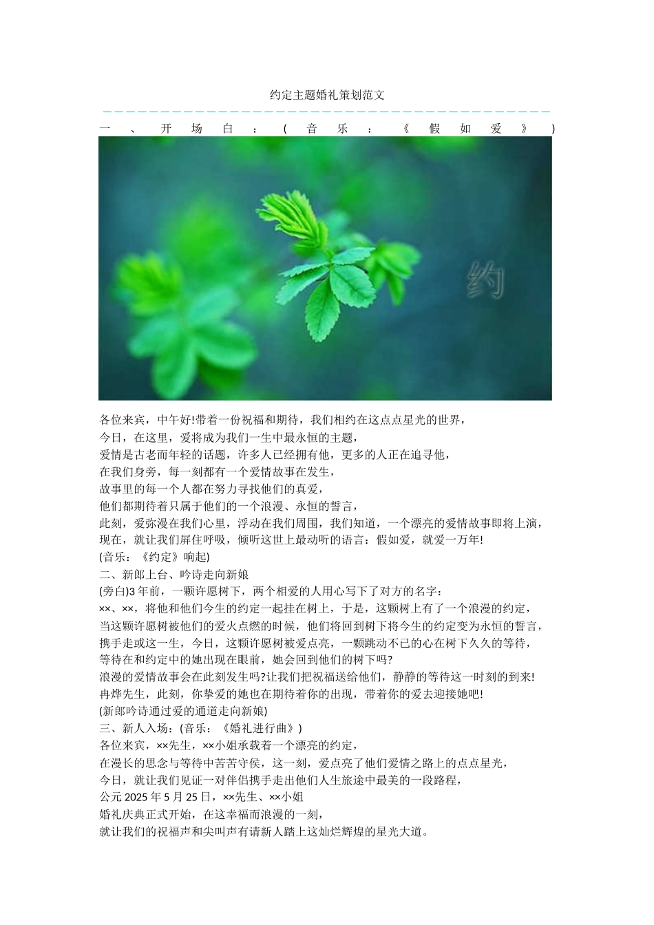 约定主题婚礼策划范文-2_第1页