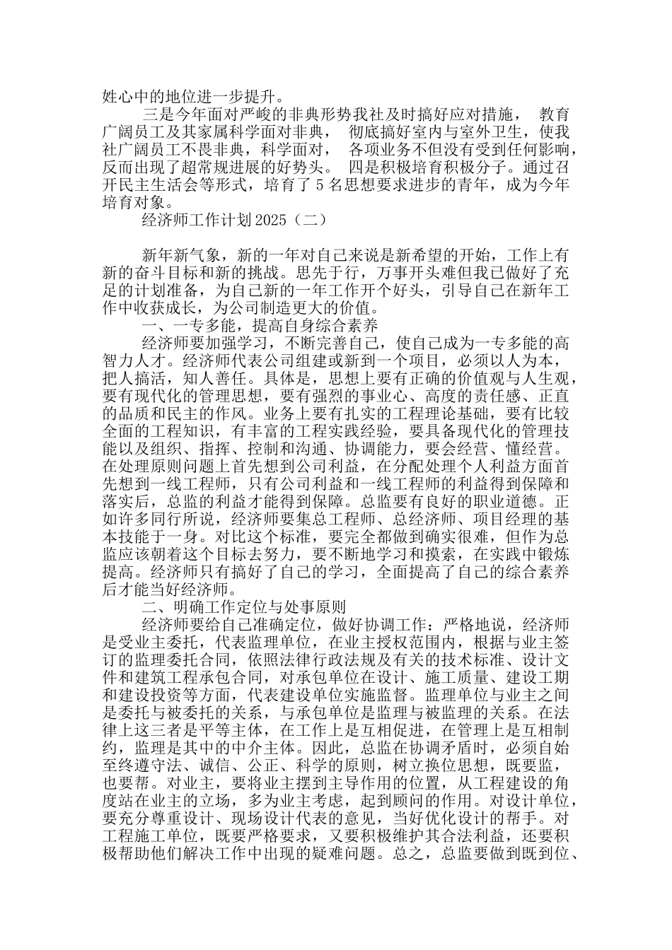 经济师工作计划2025_第2页