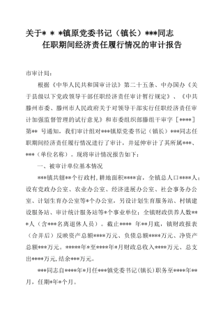经济责任审计报告模板