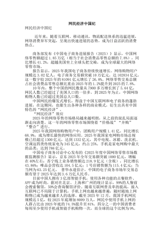 网民经济中国纪