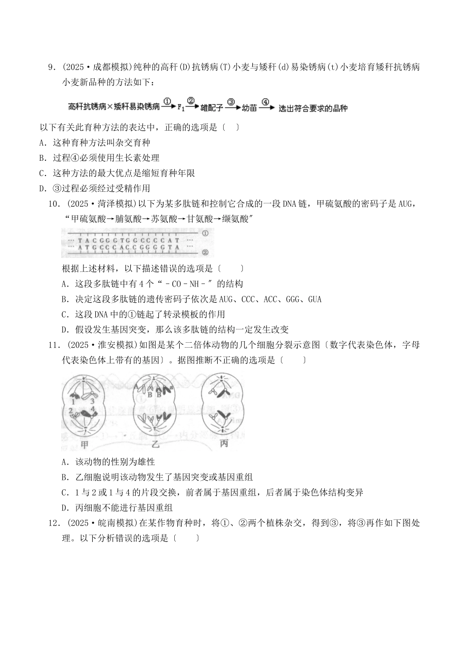 考点10生物的变异及育种_第3页