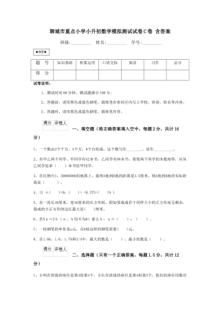 聊城市重点小学小升初数学模拟测试试卷C卷-含答案