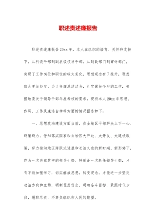 职述责述廉报告