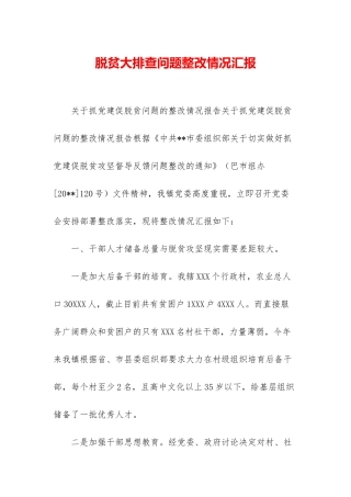 脱贫大排查问题整改情况汇报