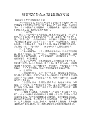 脱贫攻坚督查反馈问题整改方案