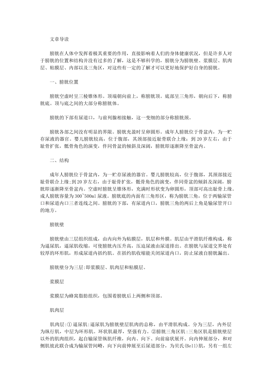 膀胱的位置-你了解过吗_第1页