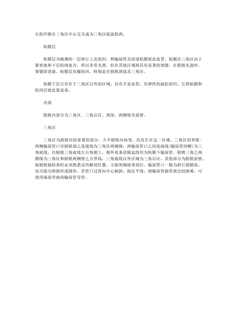 膀胱的位置-你了解过吗_第2页