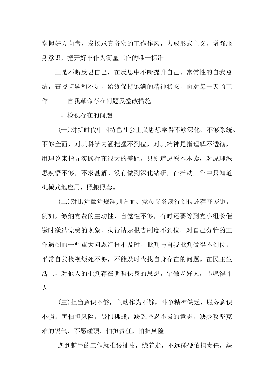 自我革命存在问题及整改措施_第3页