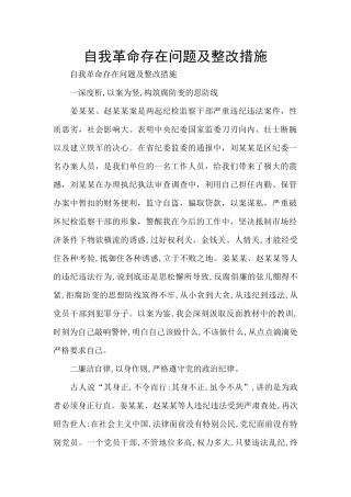 自我革命存在问题及整改措施