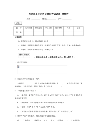 芜湖市小升初语文模拟考试试题-附解析