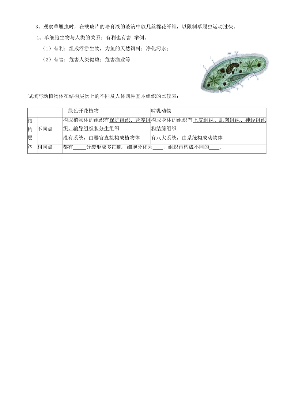 苏科版------生物七年级下册知识点总结_第3页