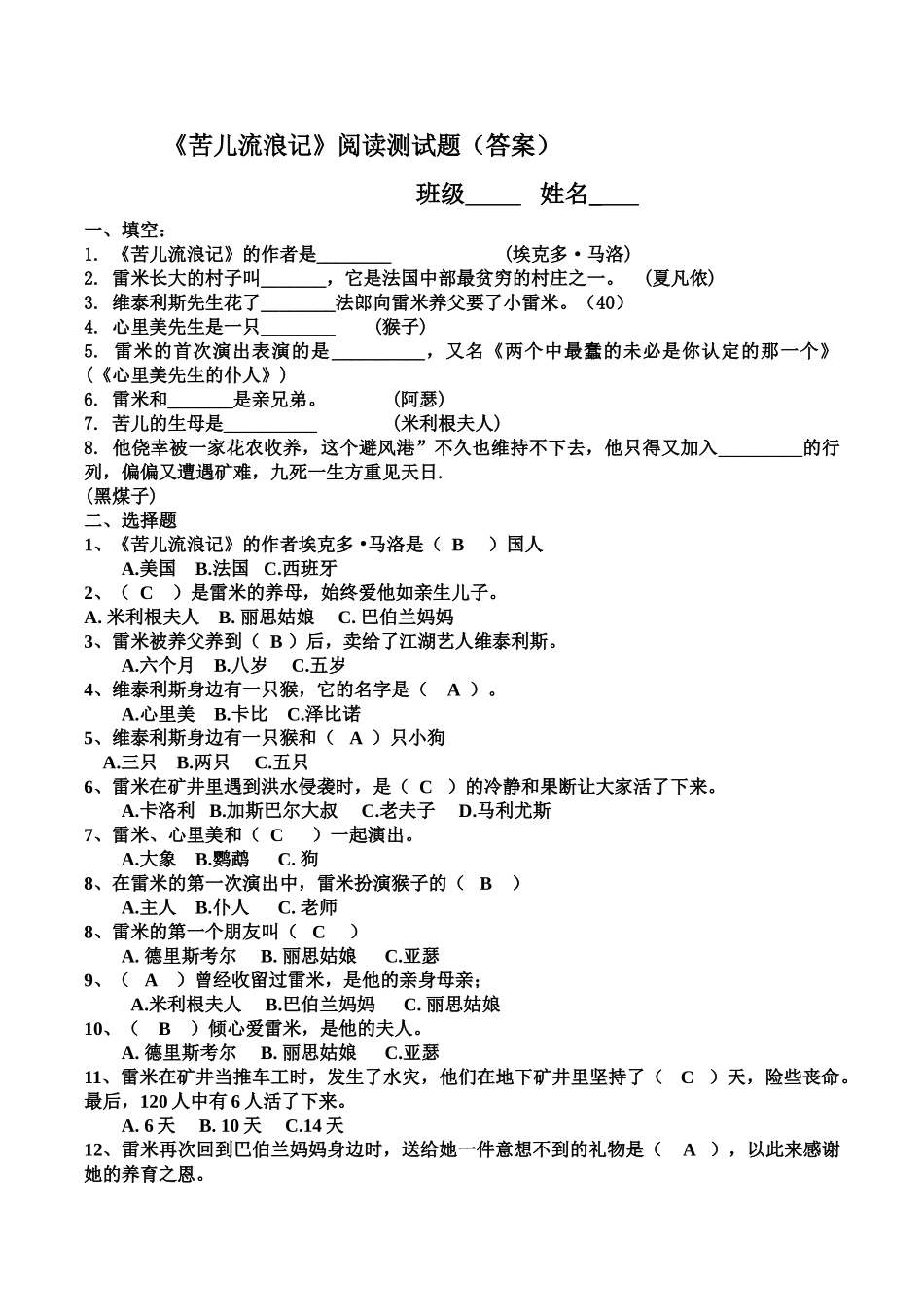苦儿流浪记阅读题答案_第1页