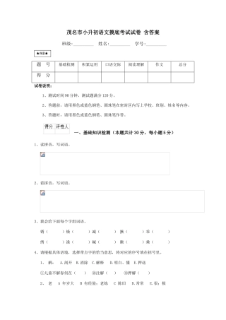 茂名市小升初语文摸底考试试卷-含答案