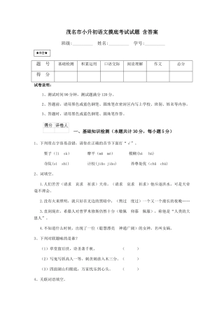 茂名市小升初语文摸底考试试题-含答案