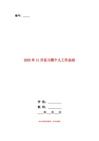 范本：2025年11月实习期个人工作总结