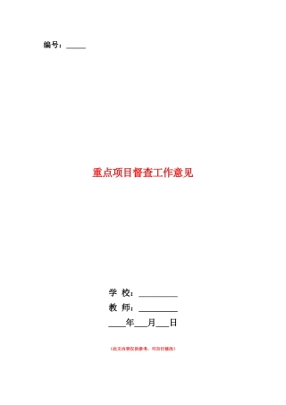 范本：重点项目督查工作意见