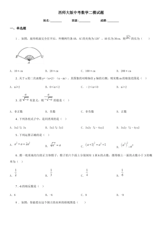 西师大版中考数学二模试题