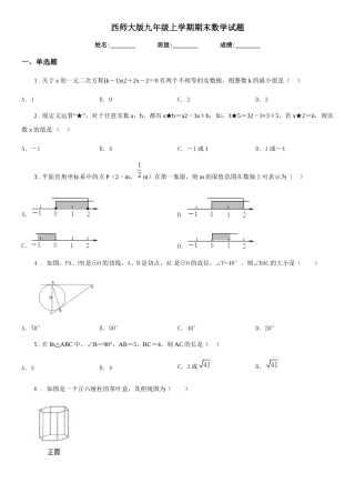 西师大版九年级上学期期末数学试题(练习)