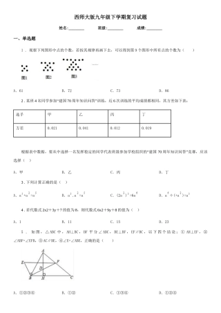 西师大版九年级数学下学期复习试题