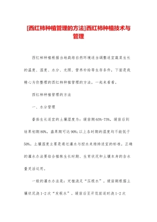 西红柿种植技术与管理
