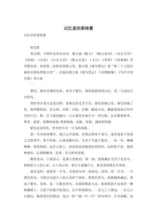 记忆里的那抹紫