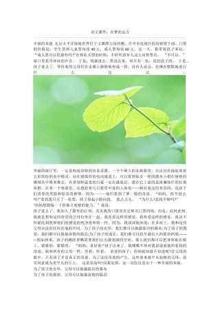 语文课件：在梦的远方