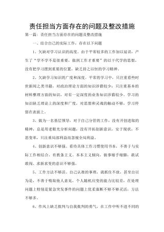 责任担当方面存在的问题及整改措施