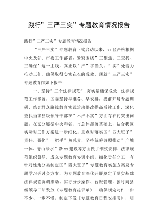 践行-三严三实-专题教育情况报告