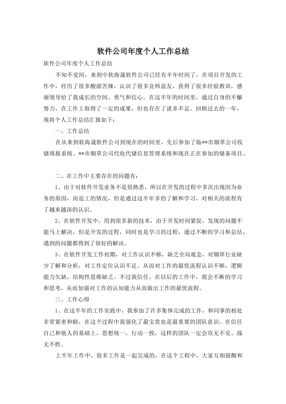 软件公司年度个人工作总结_第1页