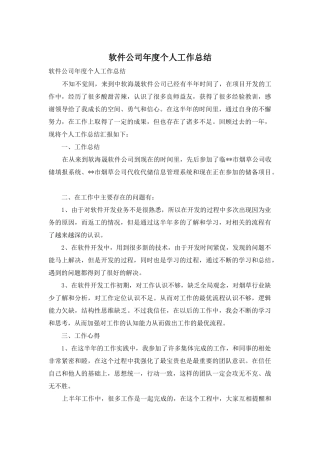 软件公司年度个人工作总结