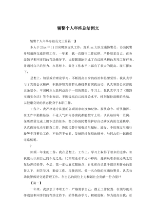 辅警个人年终总结例文