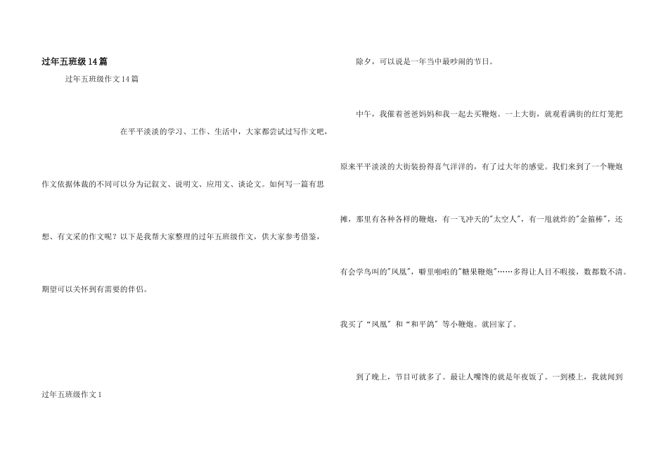 过年五年级14篇_第1页