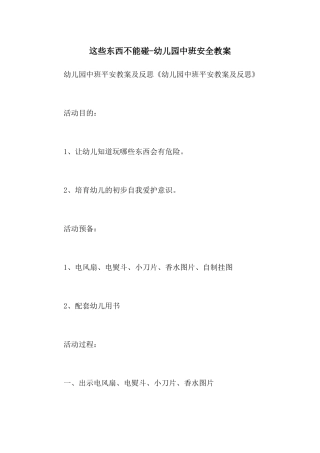 这些东西不能碰-幼儿园中班安全教案