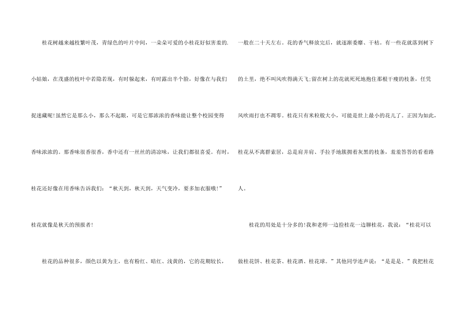迷人的桂花600字话题_第2页