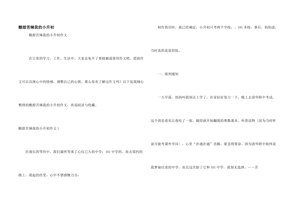 酸甜苦辣我的小升初_第1页