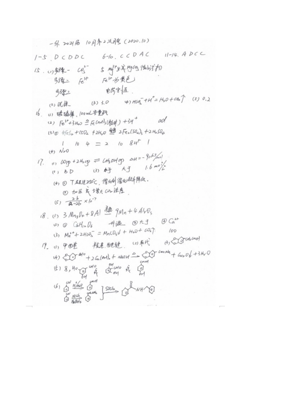 重庆2025年上学期实验外国语学校高三化学10月第二次月考试题答案_第1页