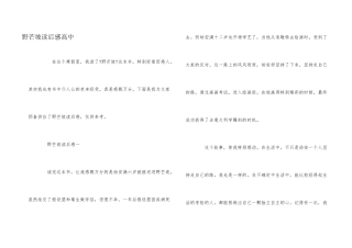 野芒坡读后感高中