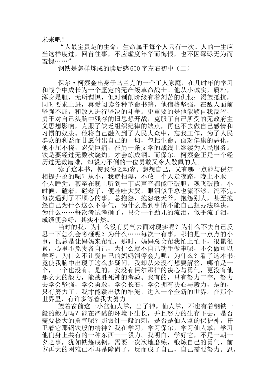 钢铁是怎样炼成的读后感600字左右初中_第2页