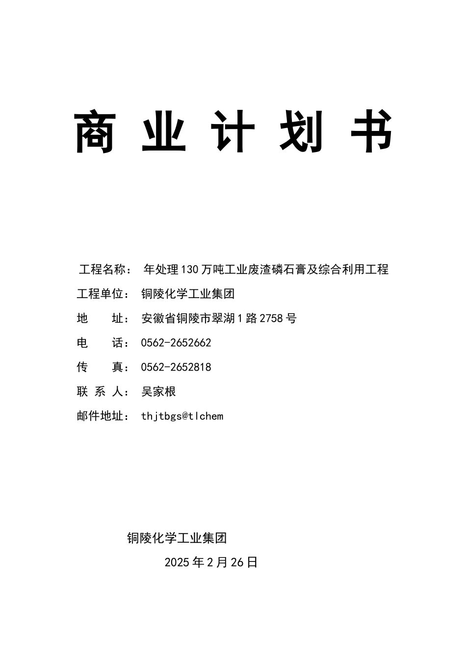 铜陵化学工业集团商业计划书_第1页