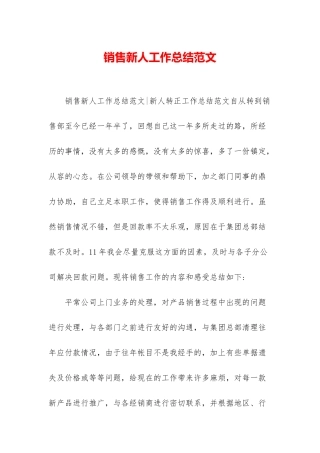 销售新人工作总结范文