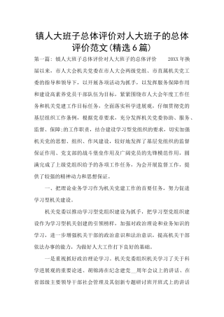 镇人大班子总体评价对人大班子的总体评价范文