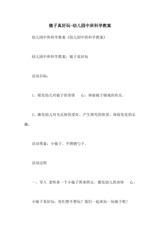 镜子真好玩-幼儿园中班科学教案