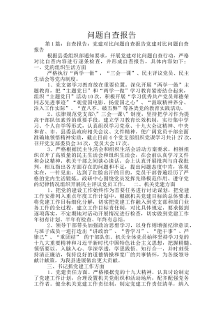 问题自查报告
