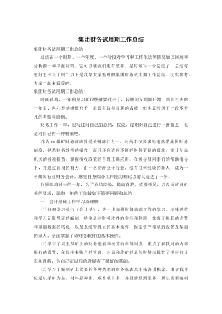 集团财务试用期工作总结