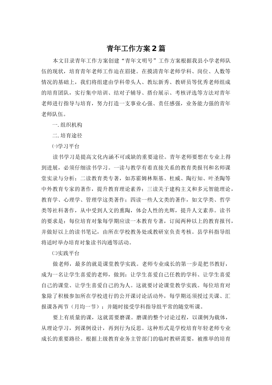 青年工作方案2篇_第1页
