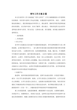 青年工作方案2篇
