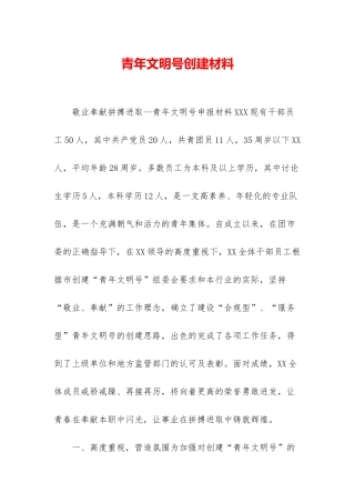 青年文明号创建材料