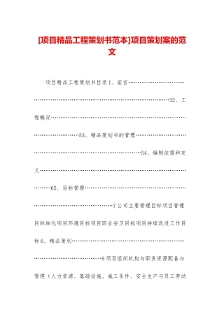 项目策划案的范文