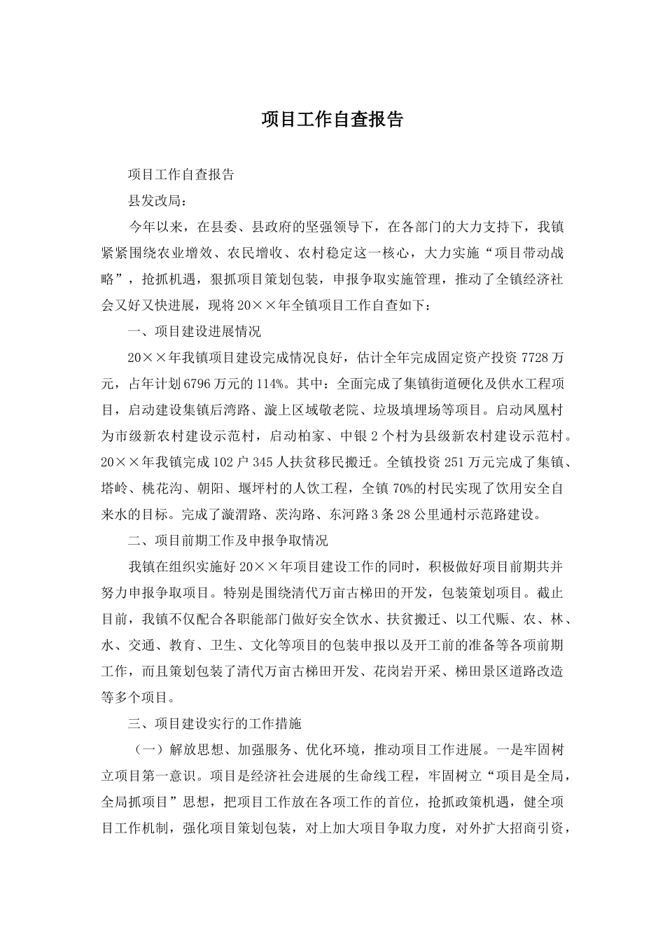 项目工作自查报告_第1页